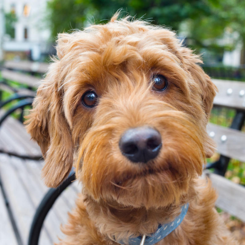 – Sophia H. &amp; Mari, Utah