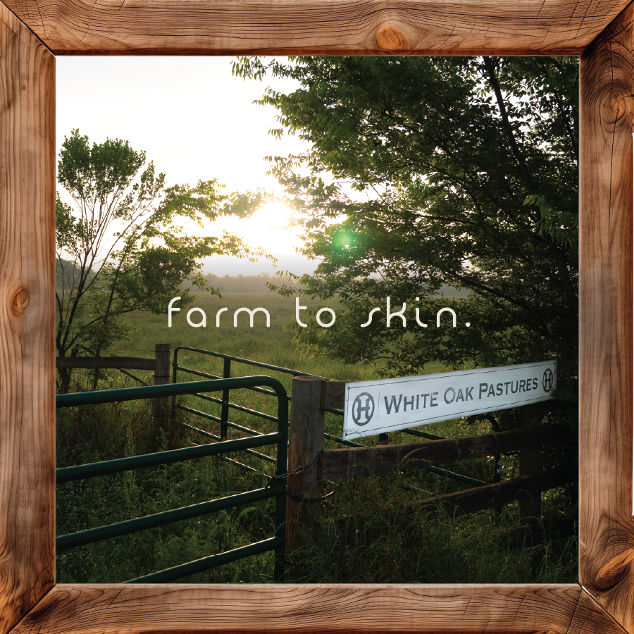 farm-to-skin.png