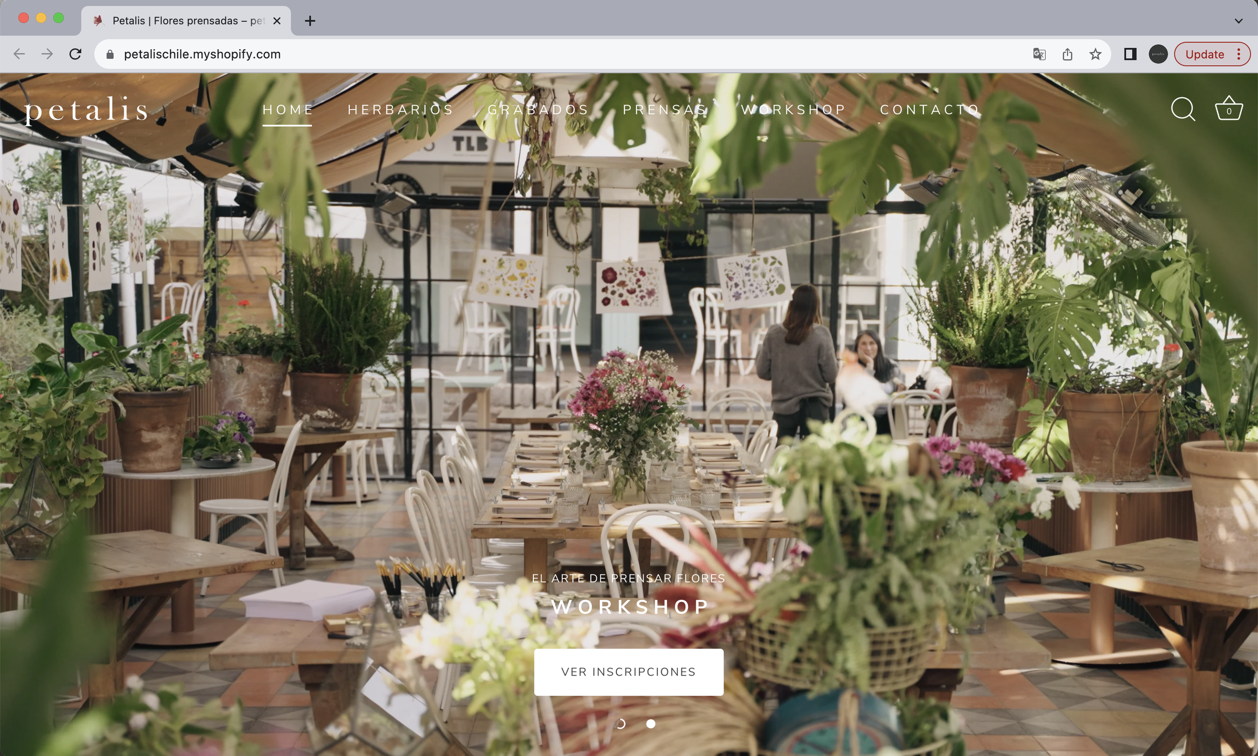 Petalis (UX/UI)
