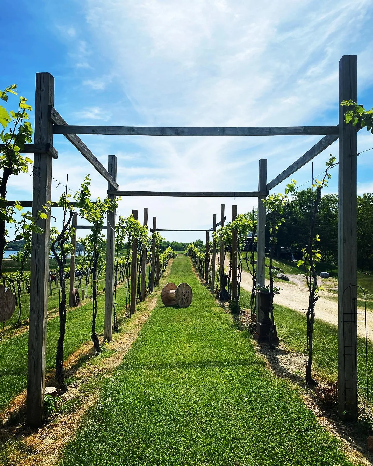 An Evening of Local Flavors at The Vines 