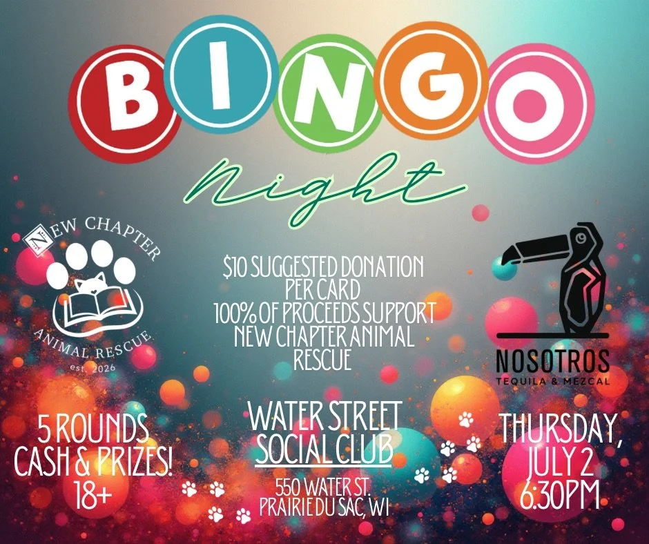 Bingo Night with New Chapter Animal Rescue &amp; Nosotros Tequila