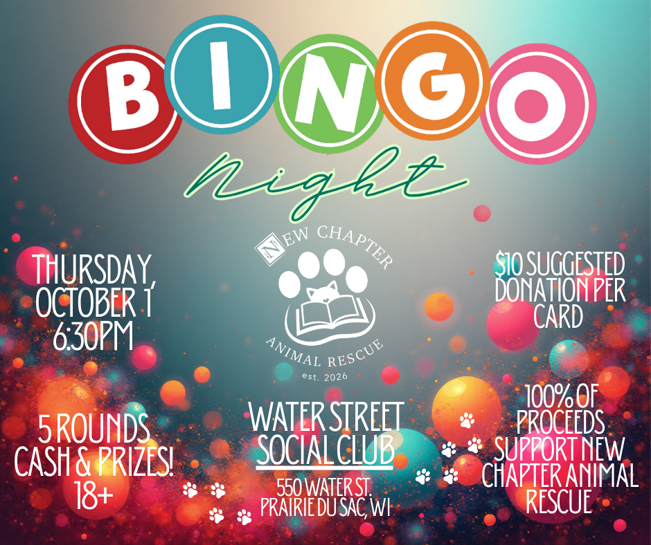 Bingo Night with New Chapter Animal Rescue