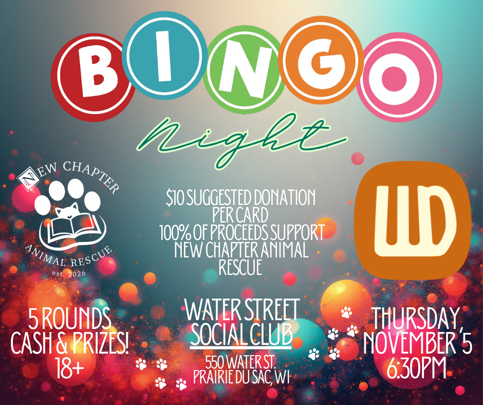 Bingo Night with New Chapter Animal Rescue &amp; Working Draft Beer COmpany