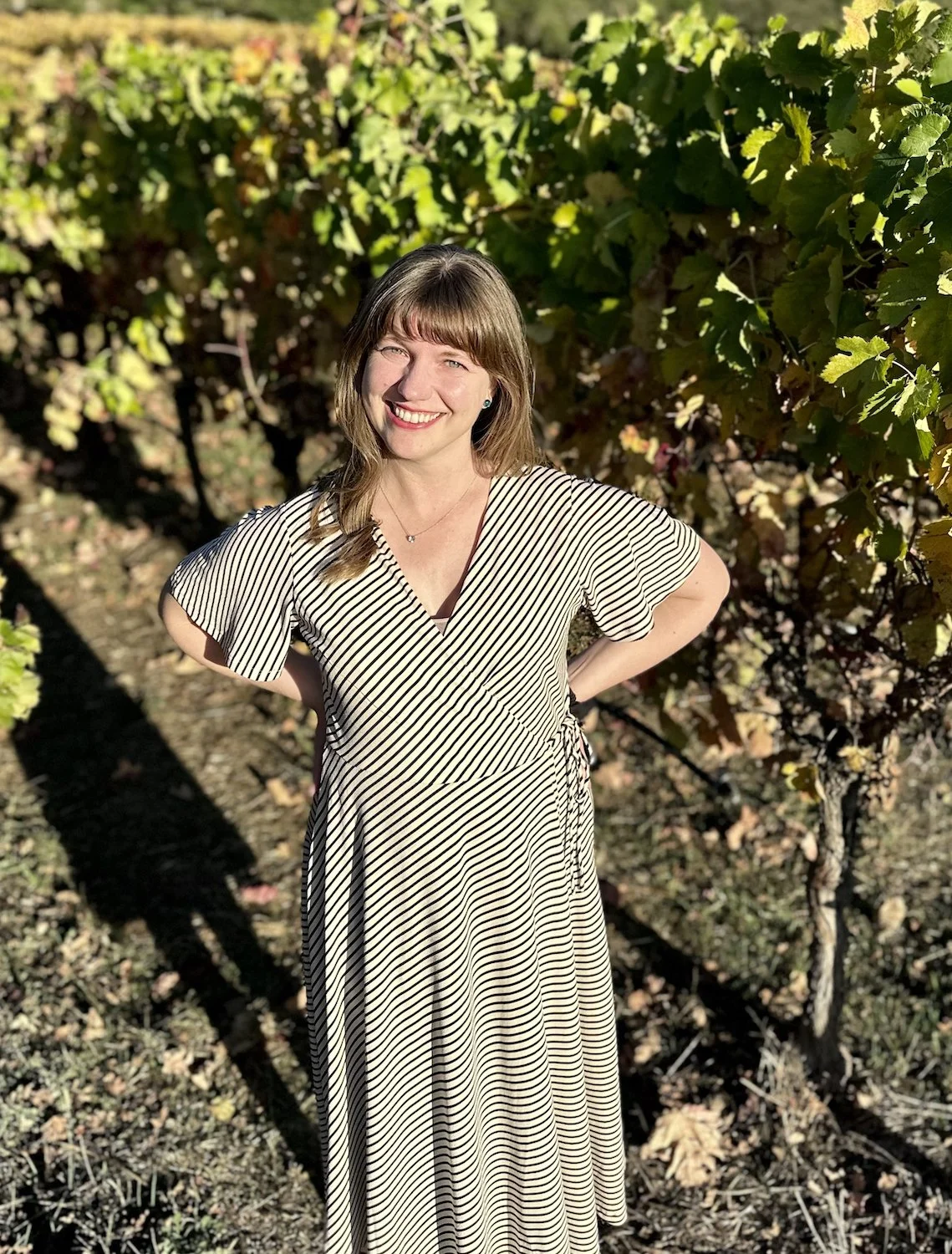 Wine Tasting in Sonoma 4 MustTry Family Vineyards — Good Good Wines