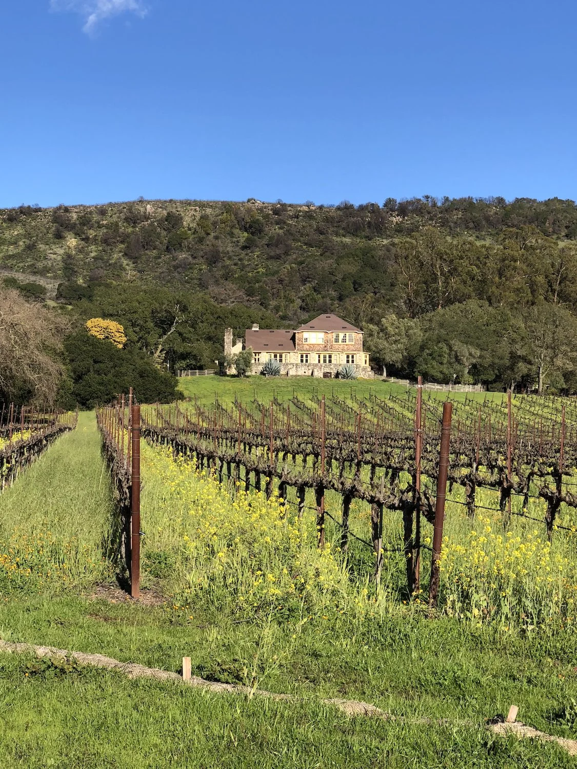 Wine Tasting in Sonoma 4 MustTry Family Vineyards — Good Good Wines