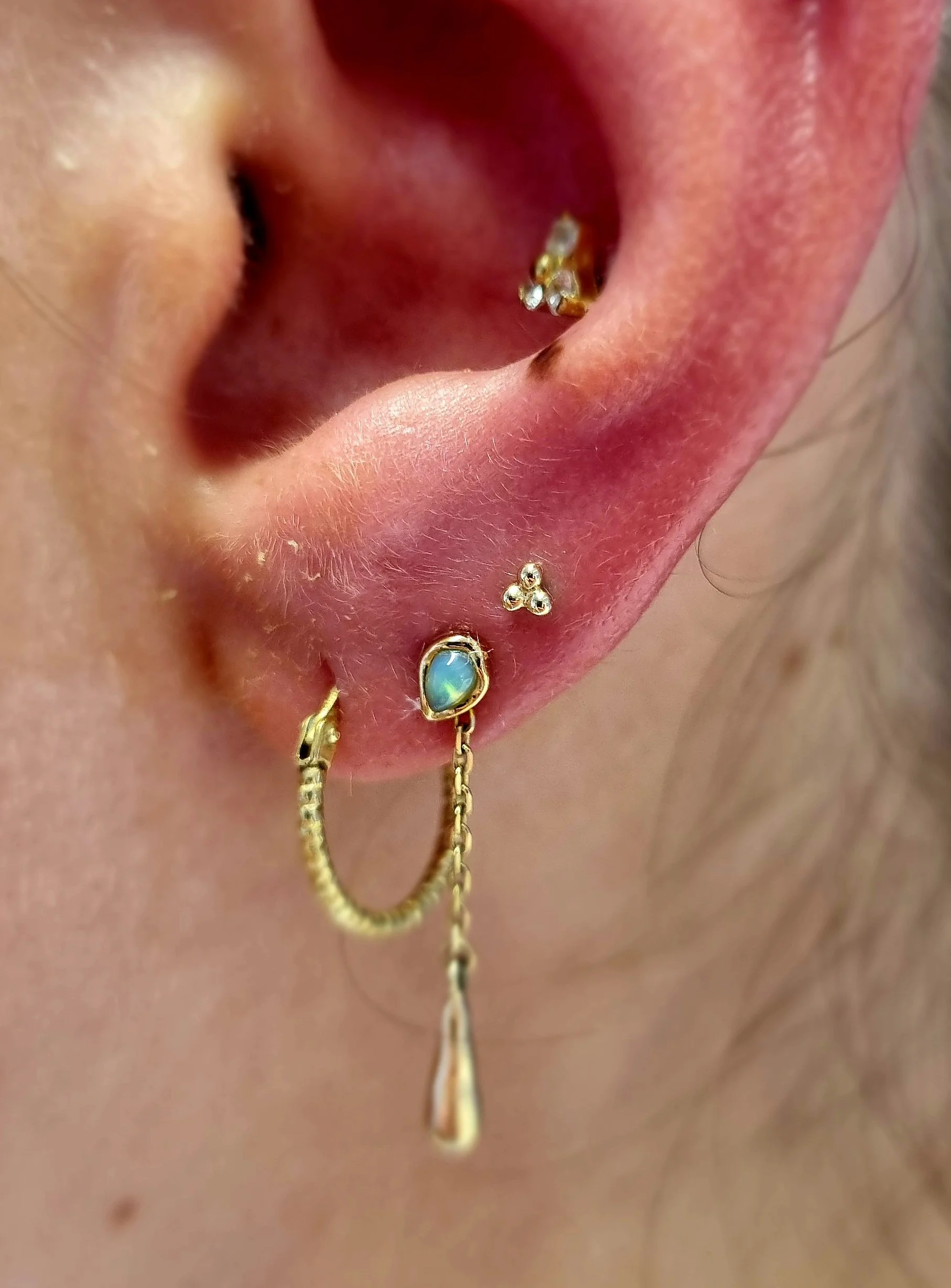20260423_154342.jpg