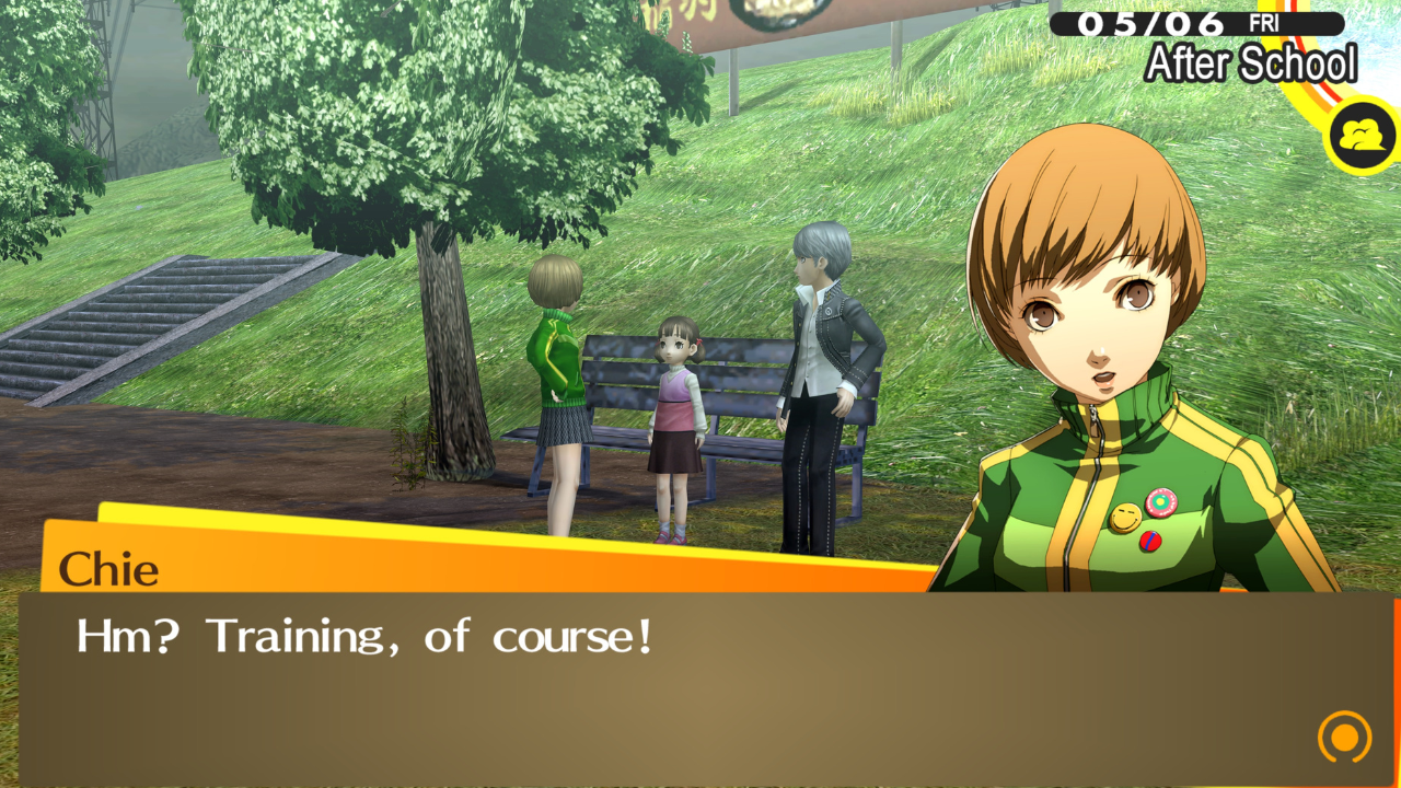 Persona Workout Plan