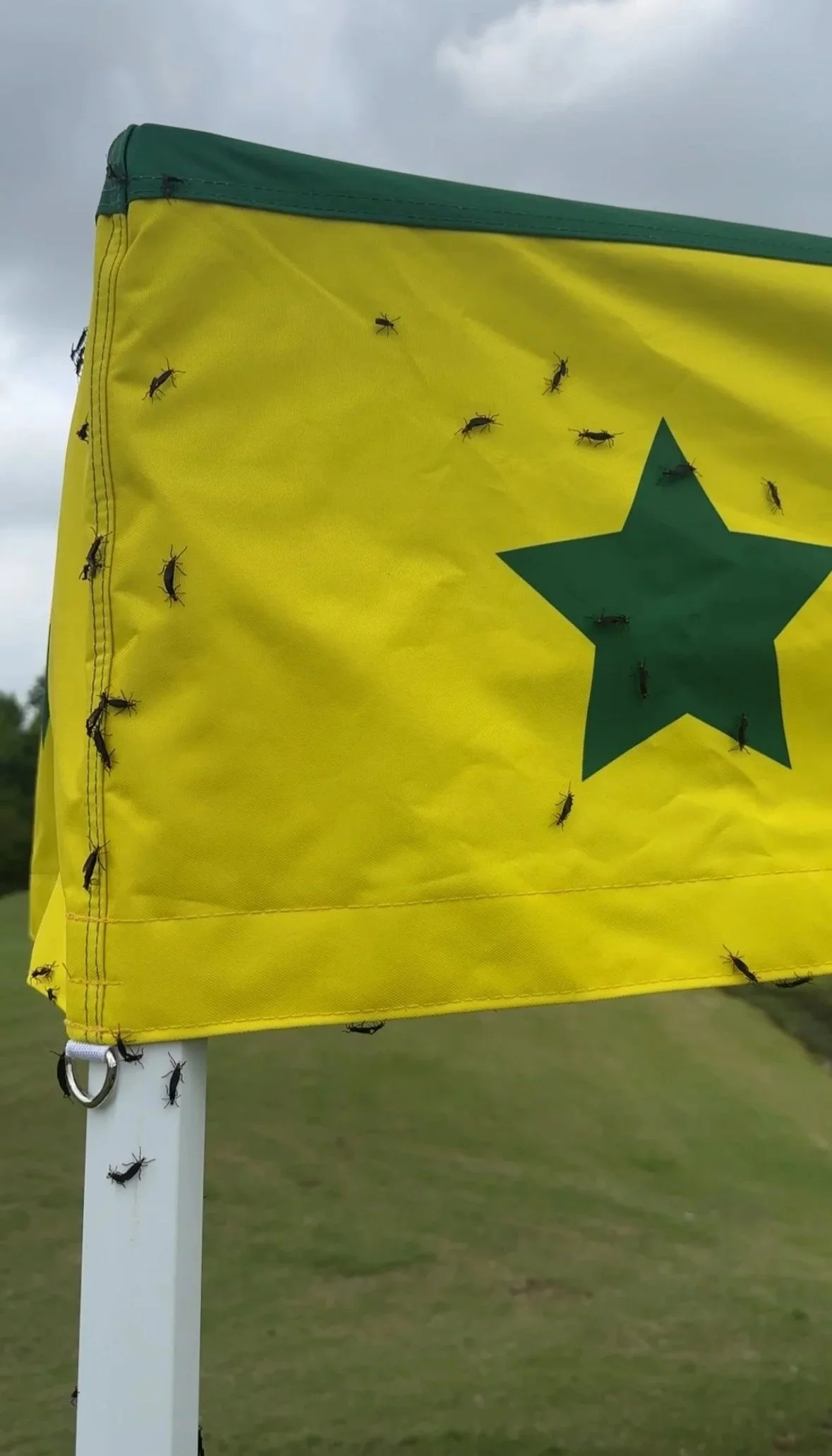 love bug, LA, Lafayette, Golf Hecklers, Golf Outing, Golf entertainment