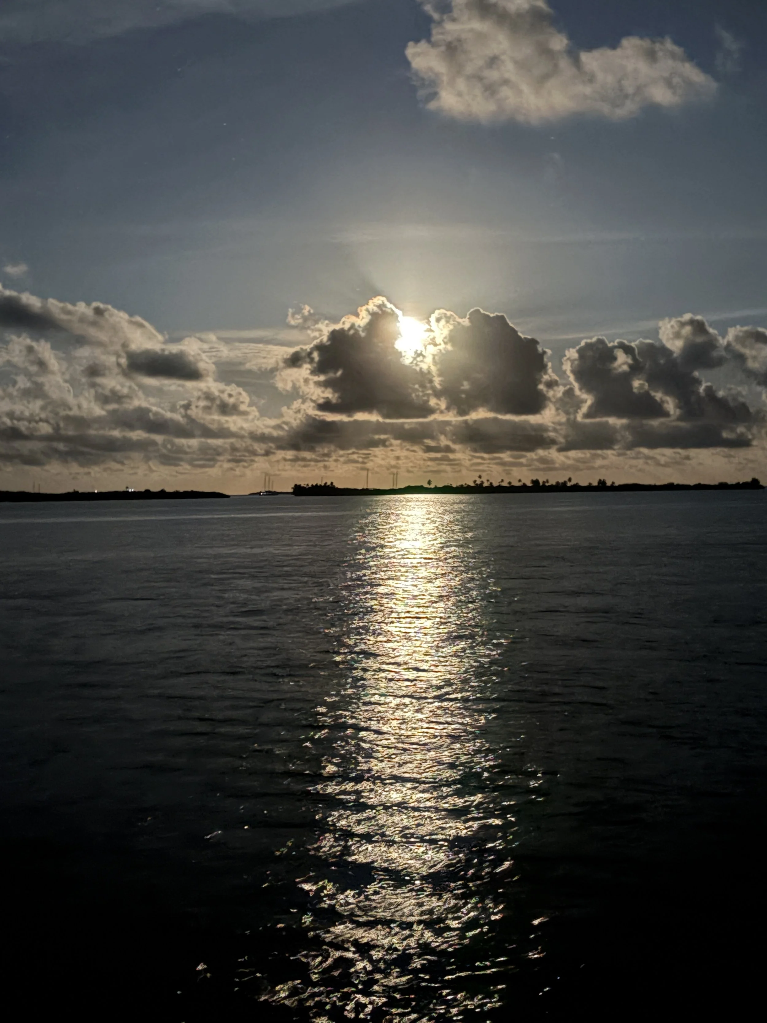 IMG_8965.JPG