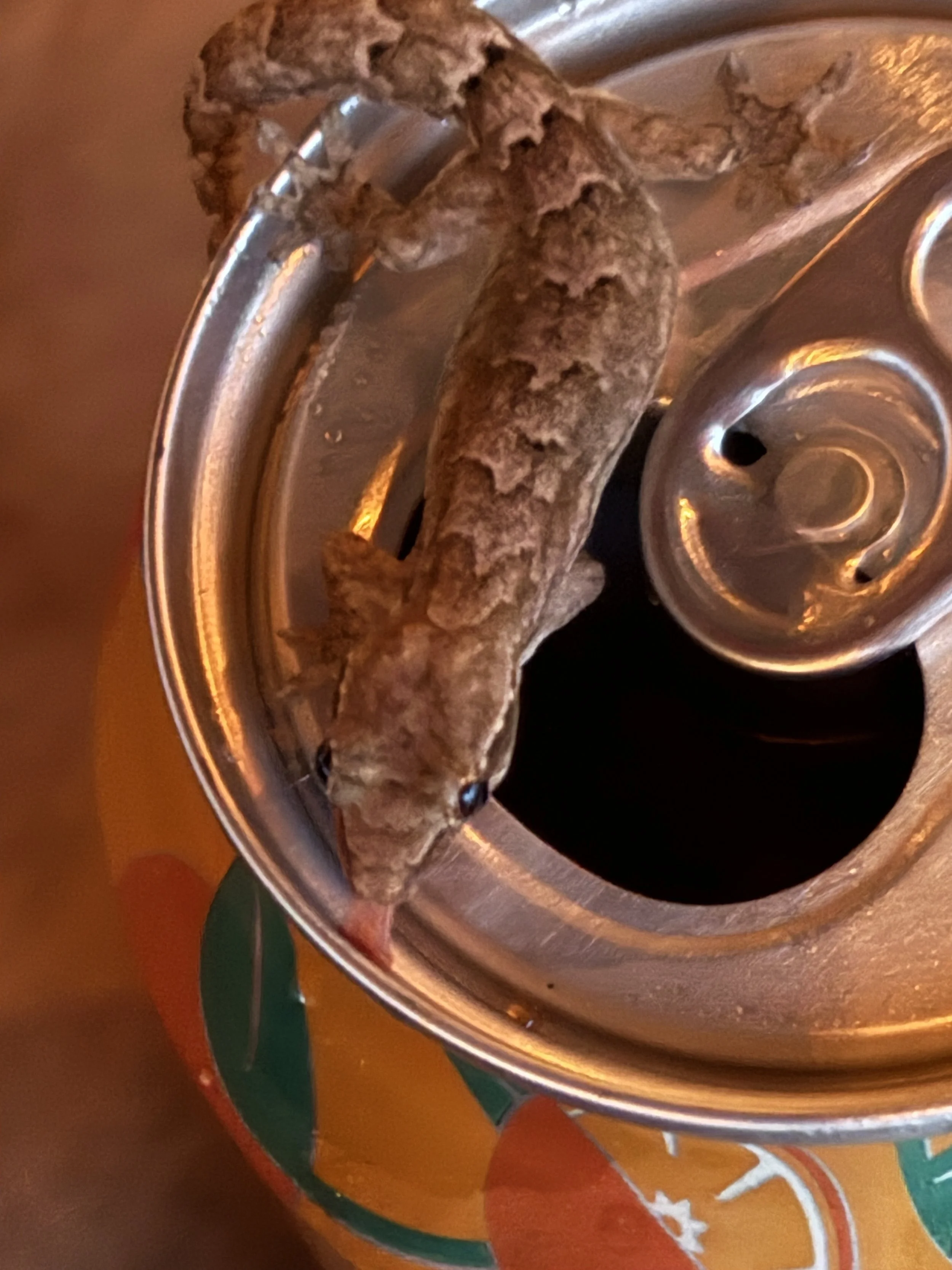 love his tongue on my soda :) 
