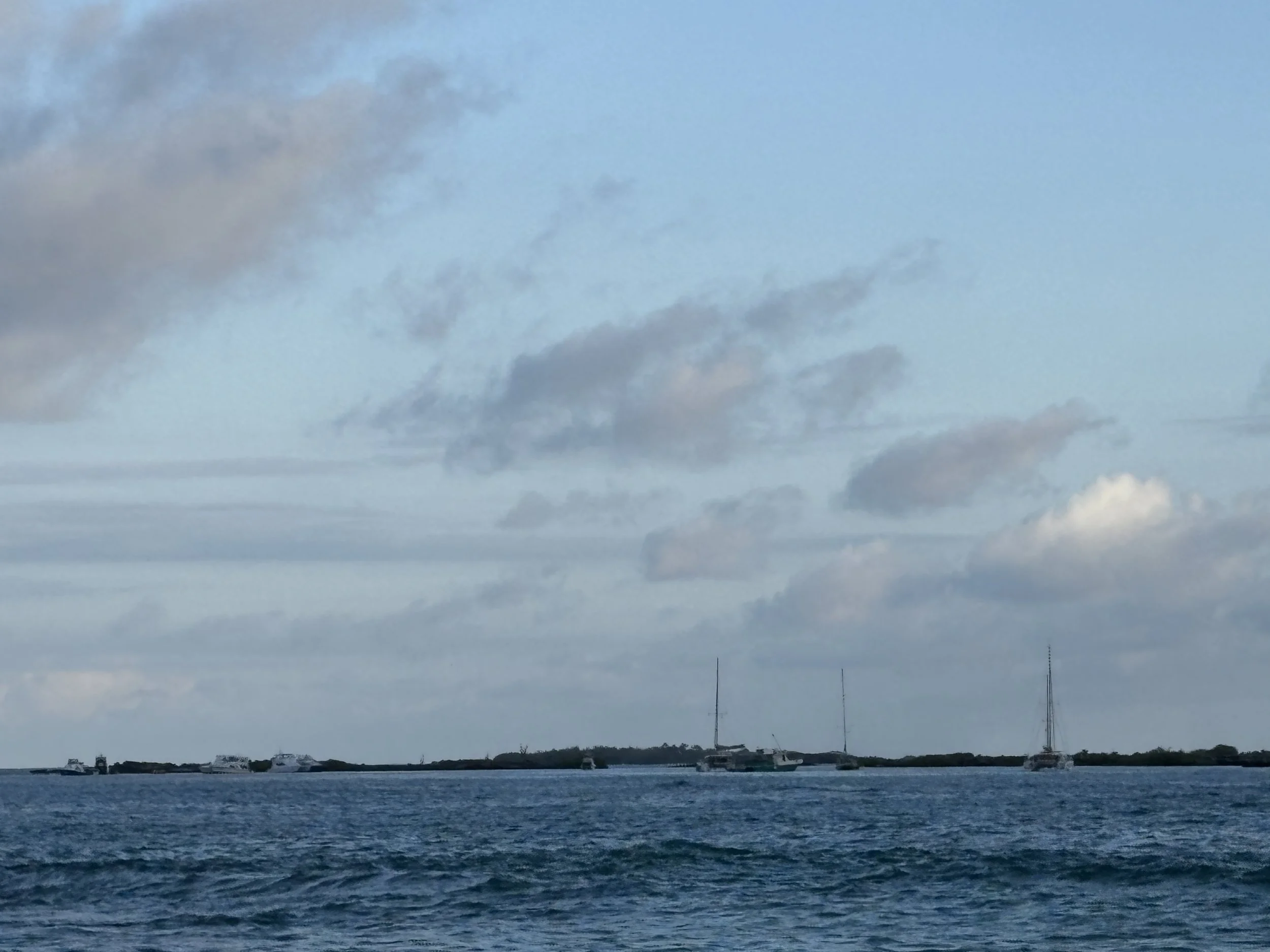 IMG_1461.JPG