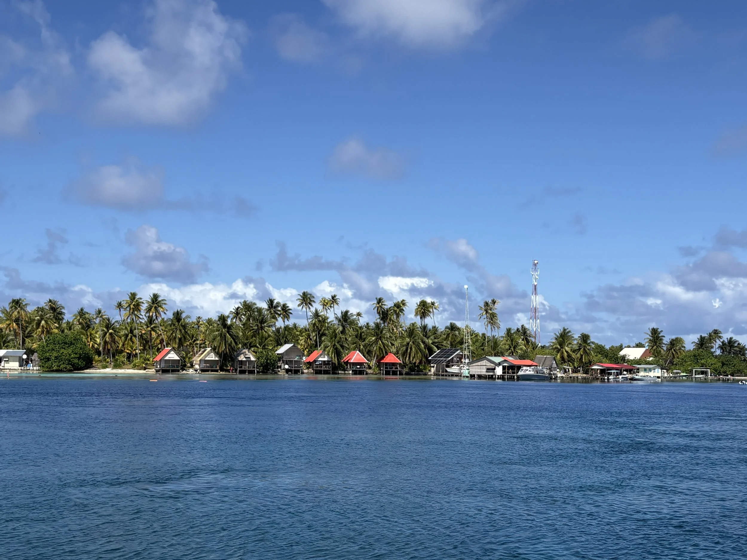 IMG_3389.JPG