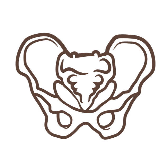 Pelvic floor therapy in Minnesota