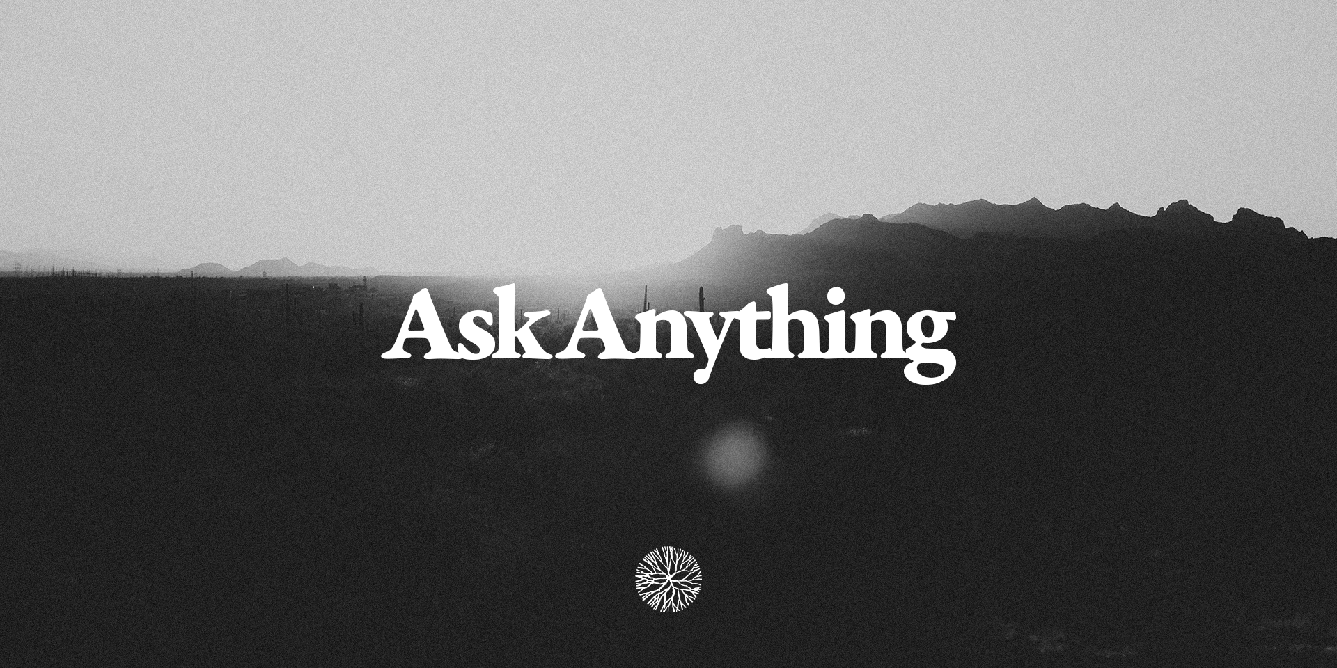 ask anything