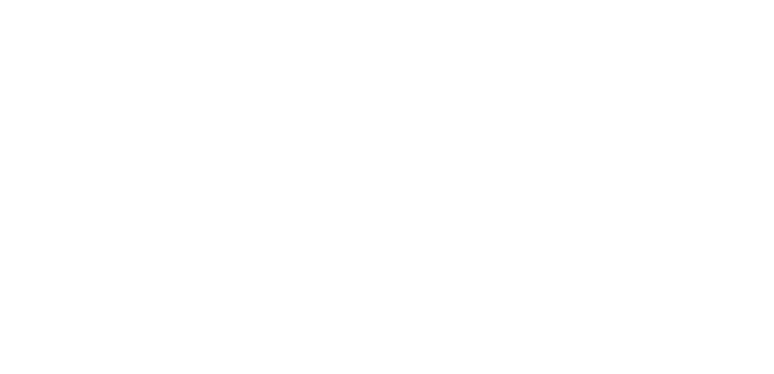 Vivid Pro Auto Spa