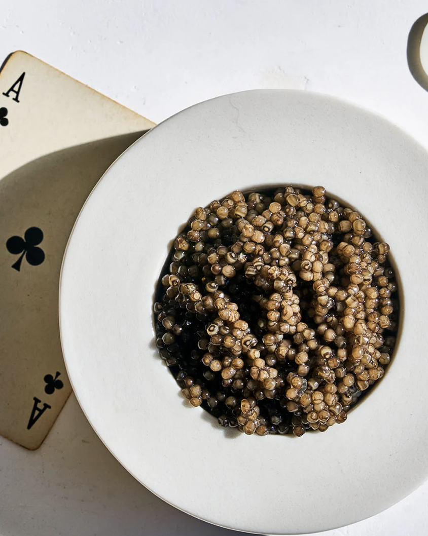 Screenshot 2025-12-12 at 3.56.32 PM.png