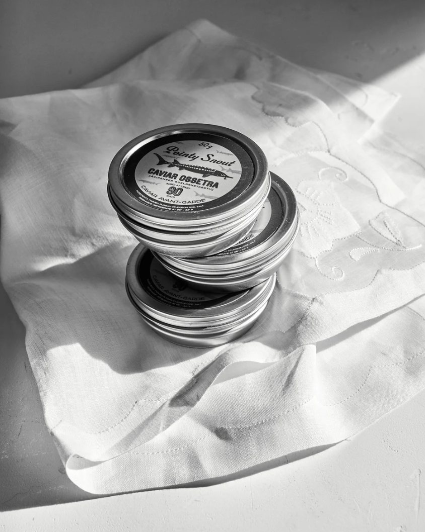 Screenshot 2025-12-12 at 4.03.28 PM.png