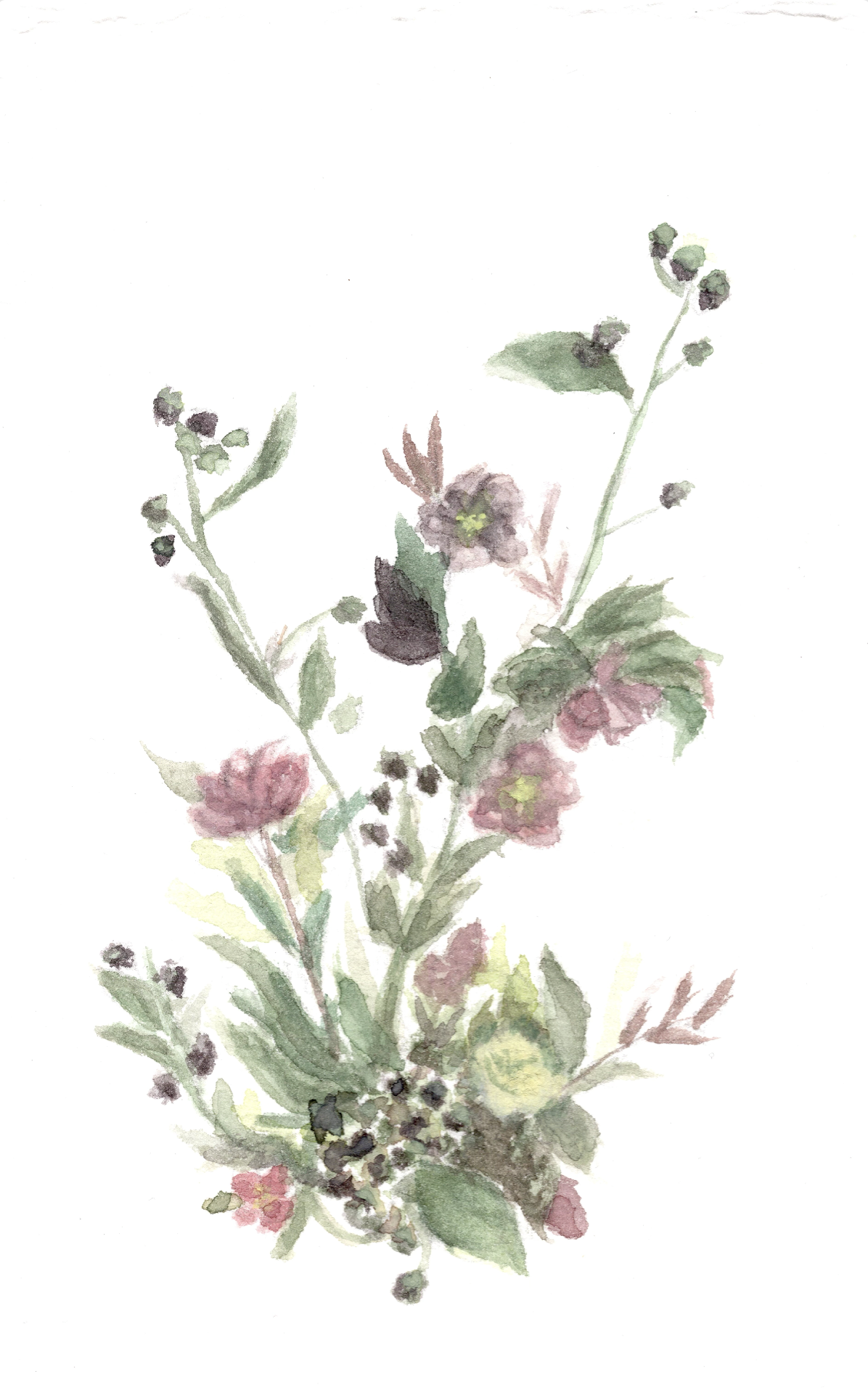 Screenshot 2026-01-08 at 3.41.09 PM.png