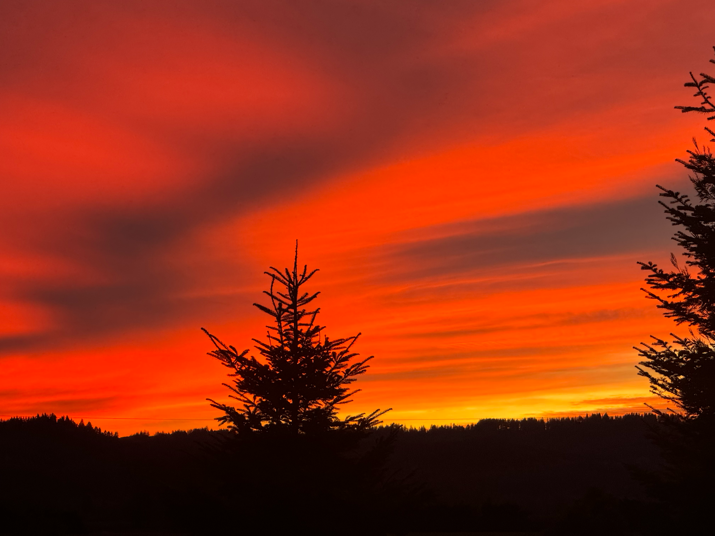 Sunset Sauvie.png