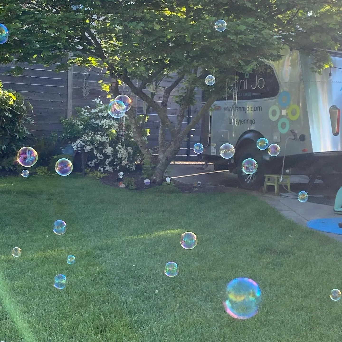 Dreaming of the Summer.