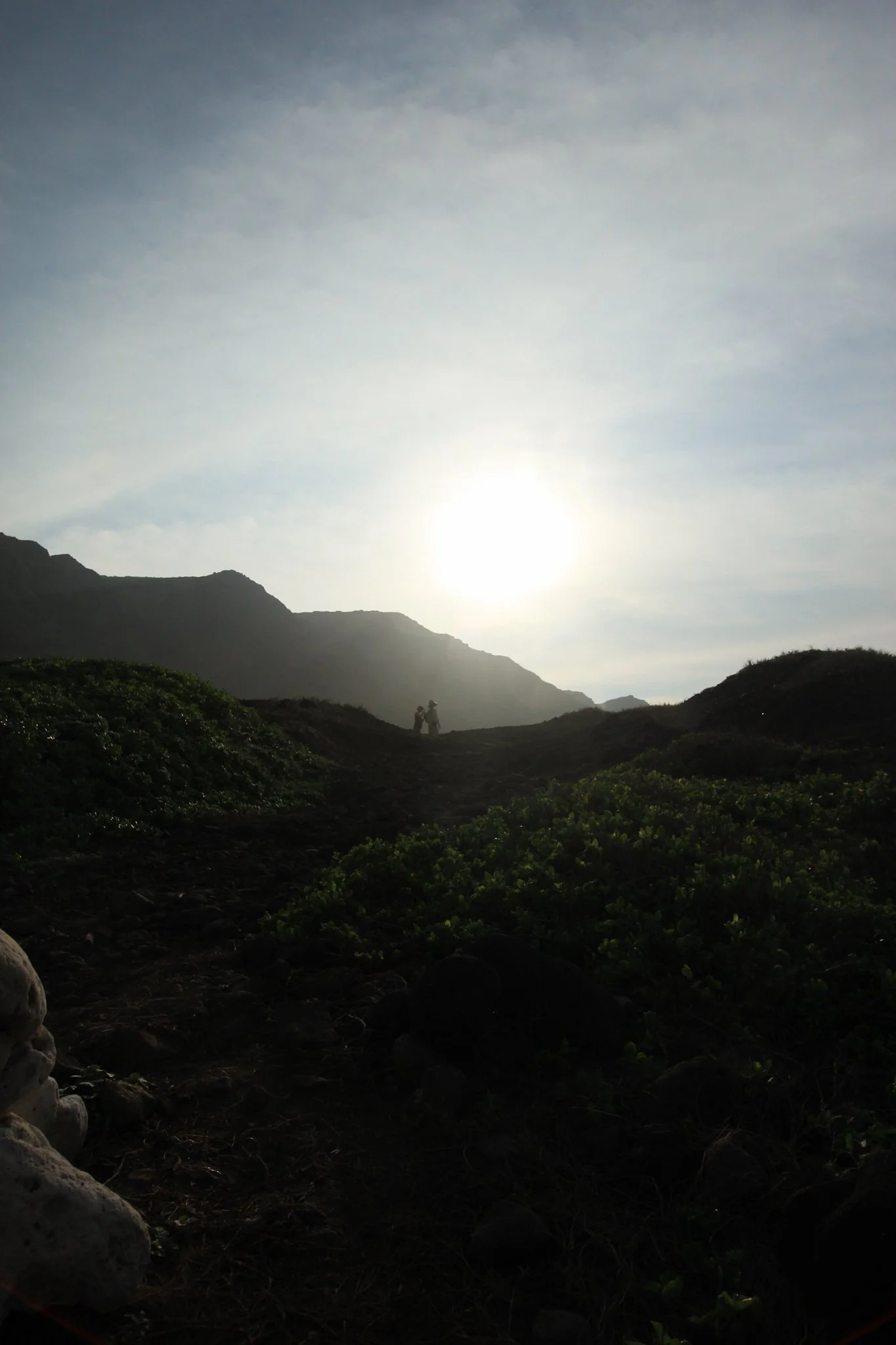 Hawaii Hike web v001-1.JPG