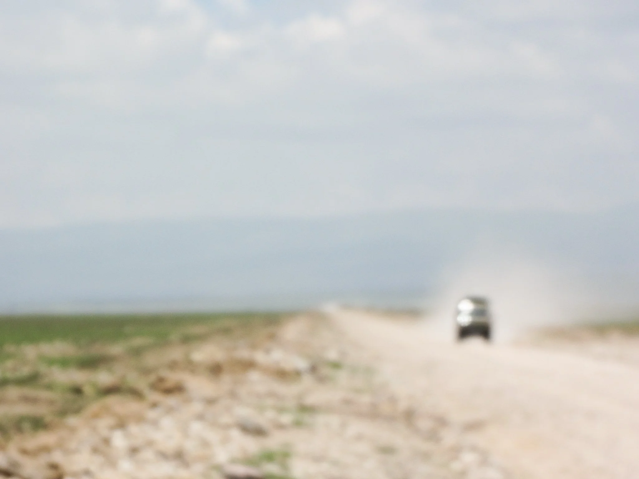 Lost Sight, Safari-1.JPG