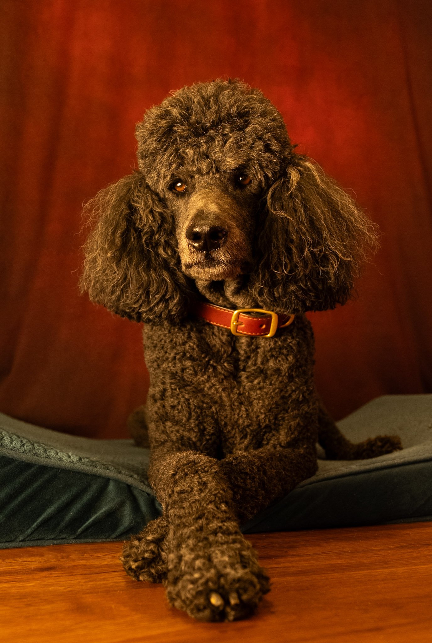 Phil Portrait-2.jpg