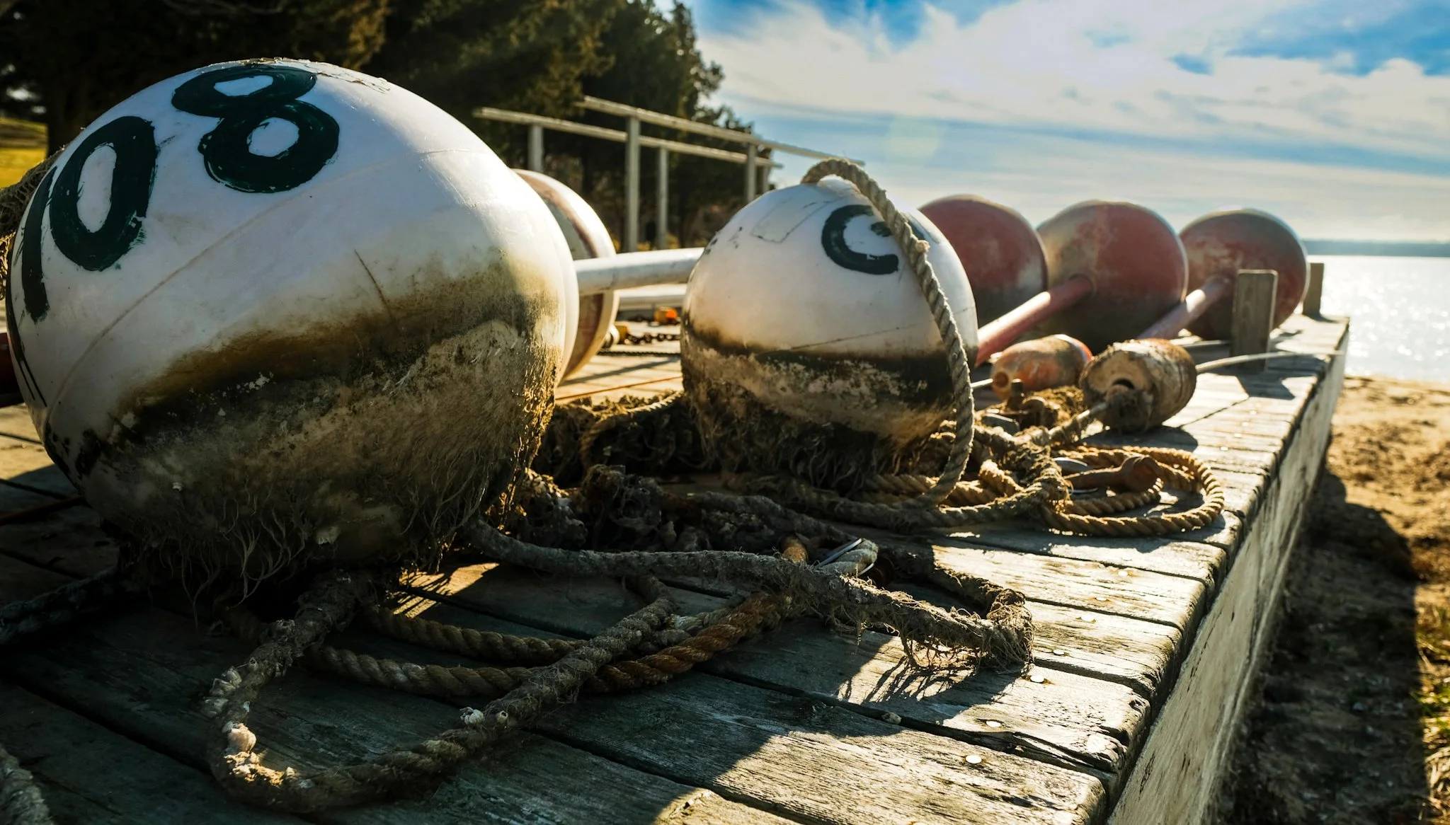 sag harbor, web v02-1.JPG