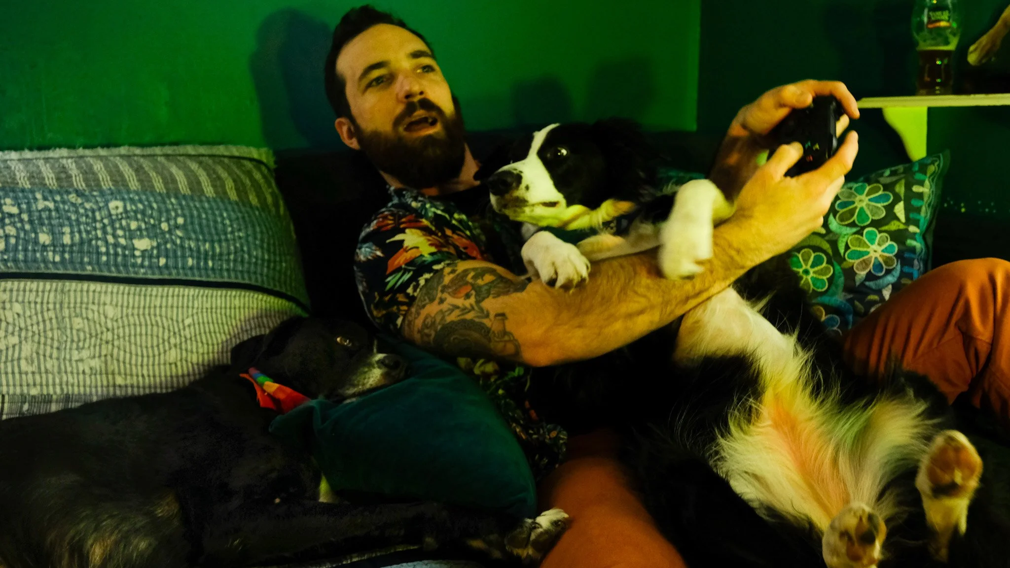 Green Selects_SeanPups_Version-3.JPG