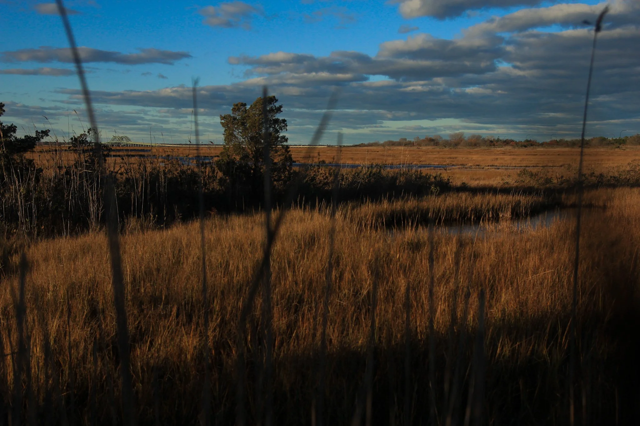 bridge web v01-1.JPG