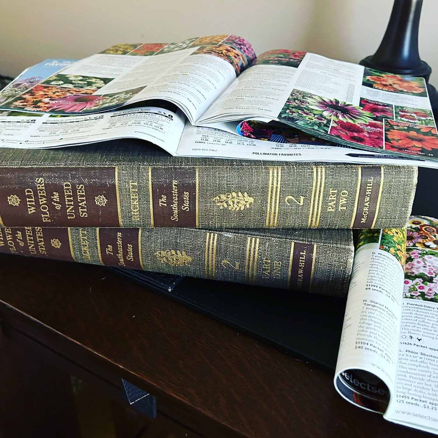 It is January, a blizzard burgeoning, and all I can think of is flowers. Looking through a beloved set of old reference books I inherited from my parents, who inherited them from a neighbor in Birmingham fifty years ago. Something about the old books