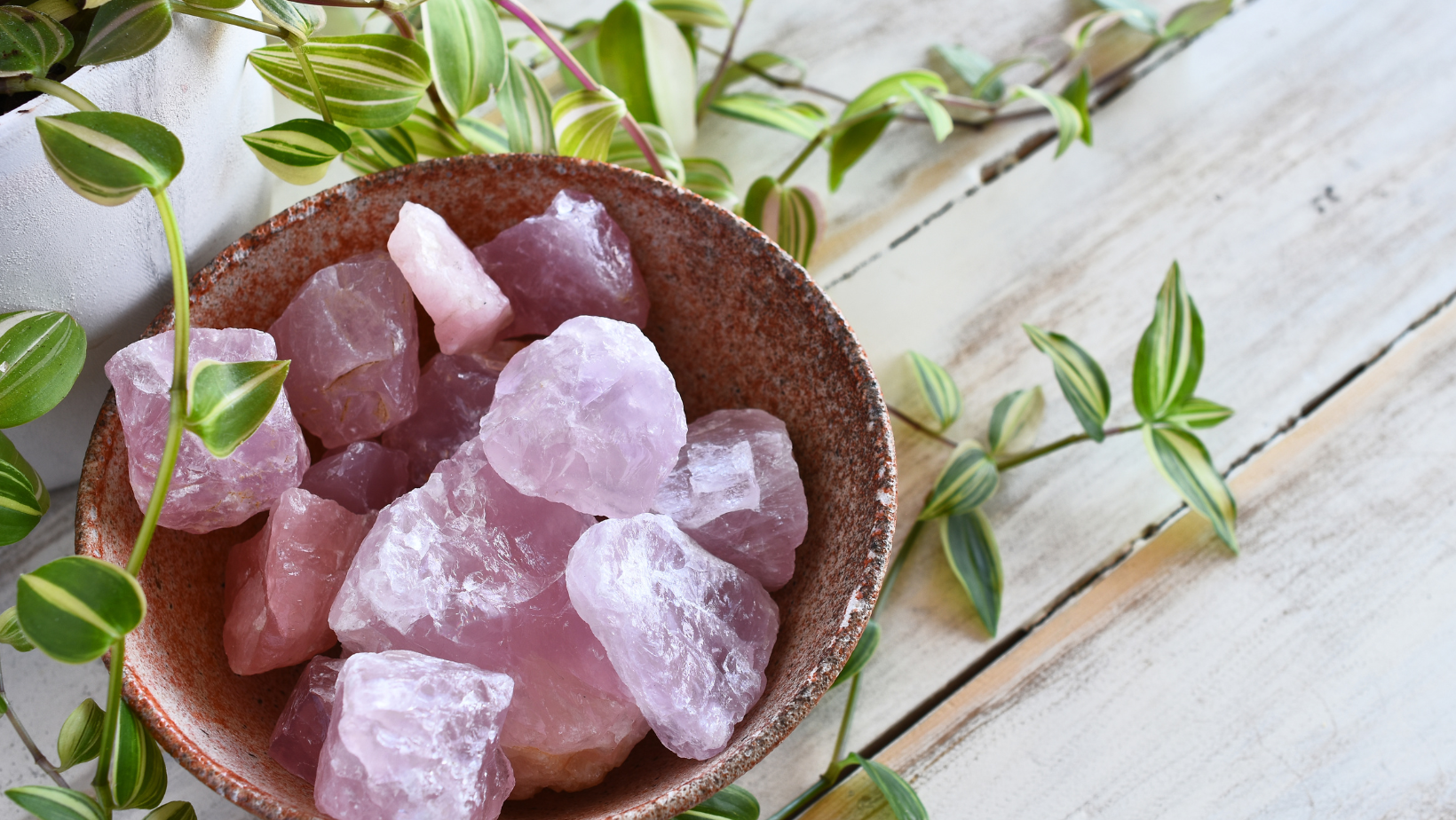 Untitled design-11.png