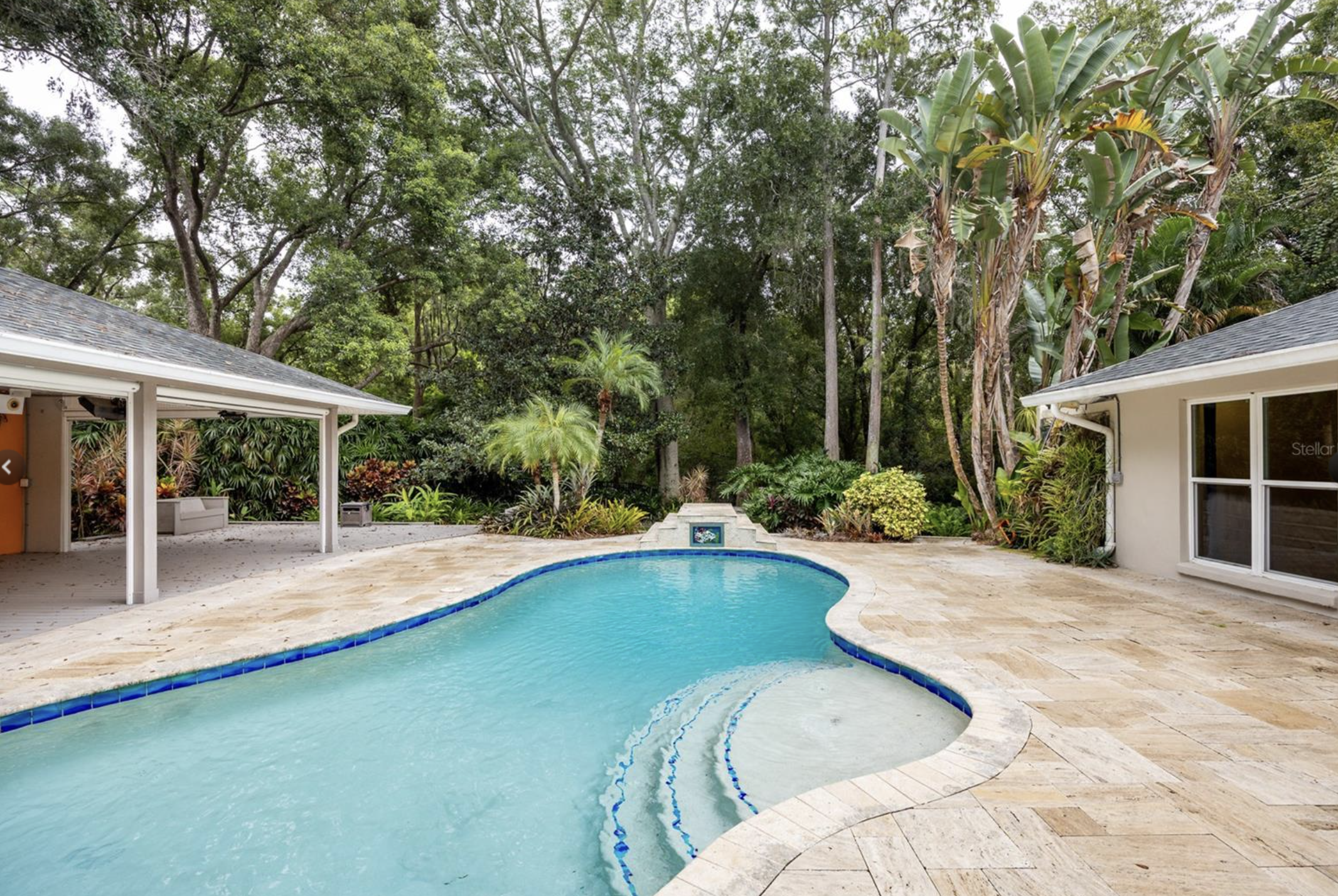Backyard with swimming pool, surrounded by lush green trees and tropical plants, adjacent to a white house with a grey roof.