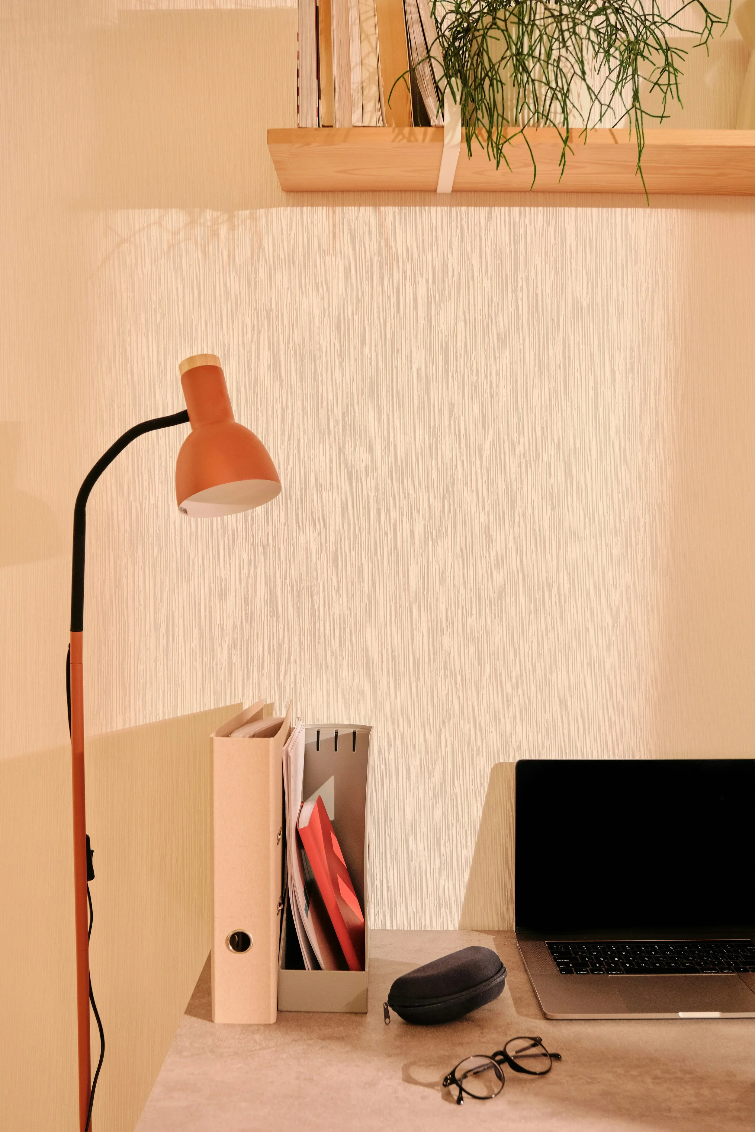A tidy office desk with a laptop, glasses, a black case, and organized file folders with a plant and a shelf in the background.