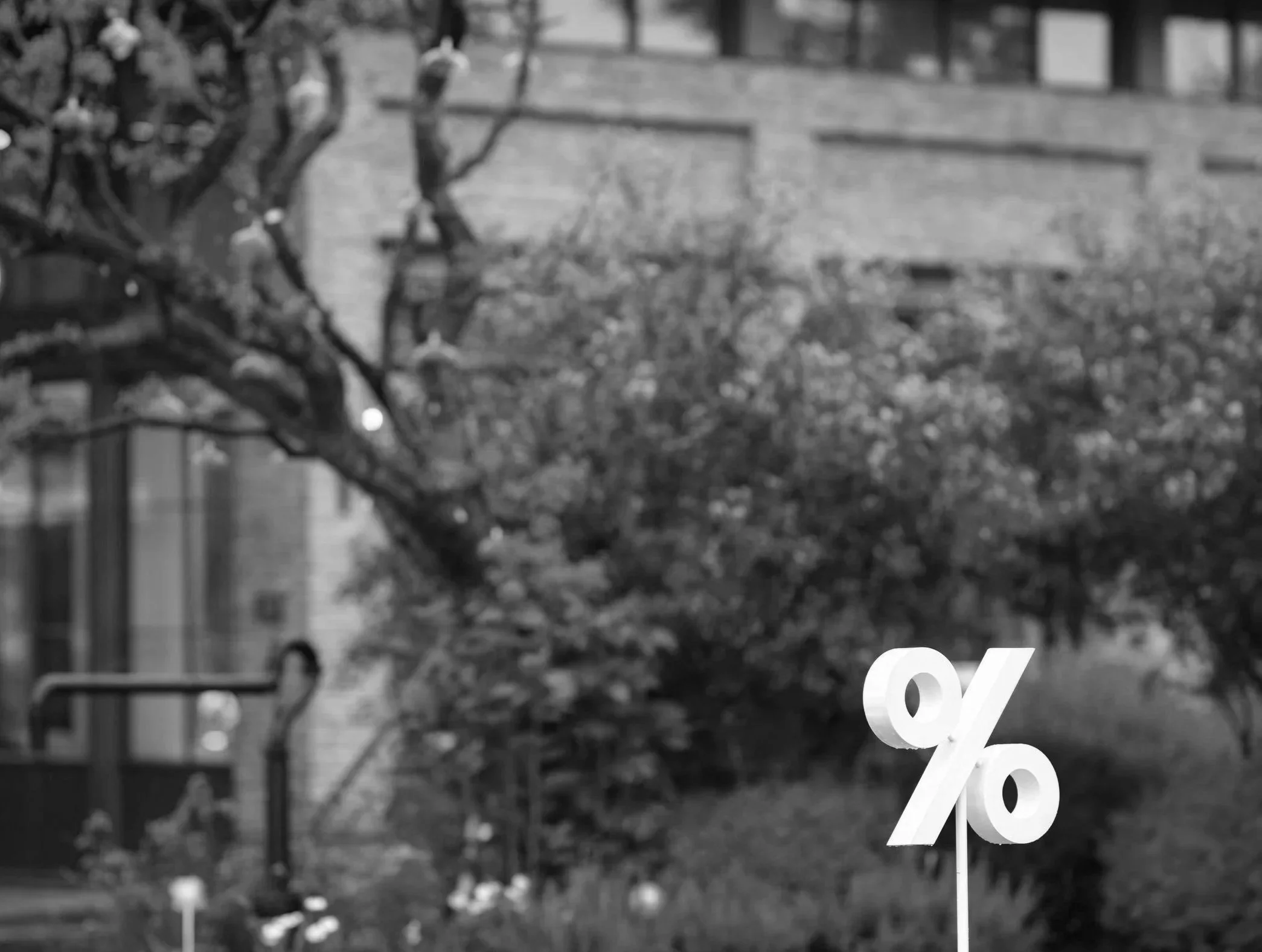 A garden scene in black and white with a yard, a tree, and a building in the background, and a large white percentage symbol in the foreground.