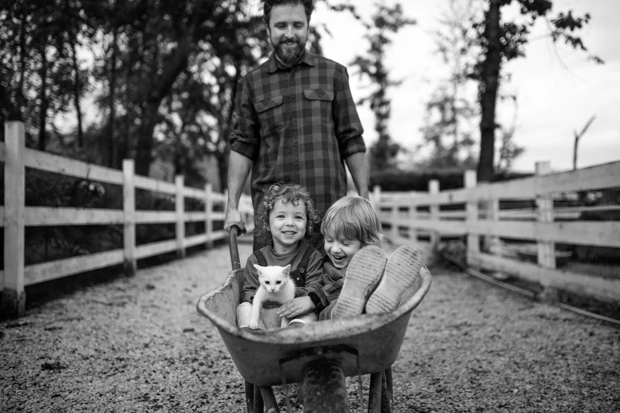 Two children sitting in a wheelbarrow, one holding a white kitten, with an adult man pushing the wheelbarrow on a gravel path, surrounded by trees and wooden fences.