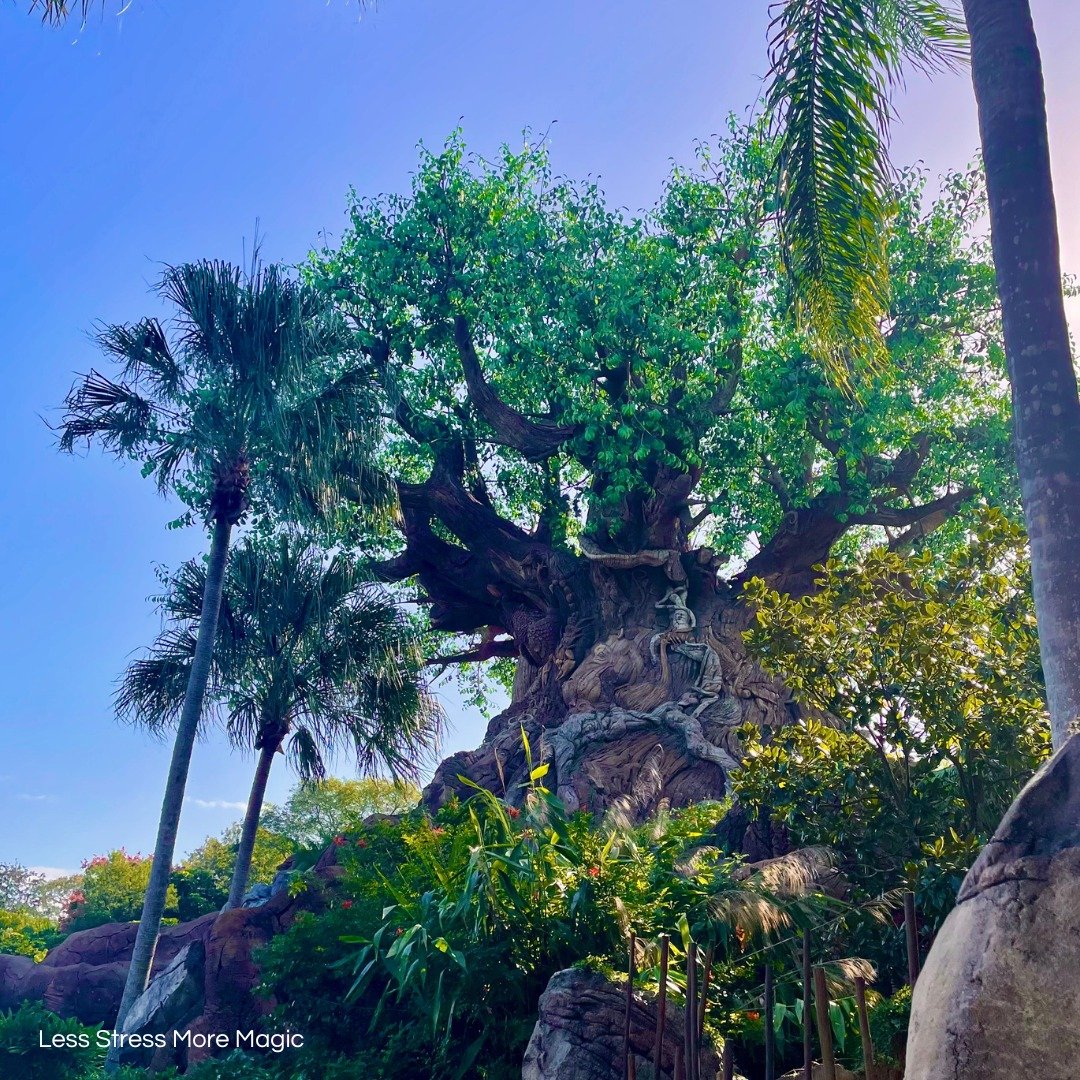 Happy Earth Day! 

Animal Kingdom officially opened 26 years ago today.

This park embodies conservation at its very core and is incredible to visit! 

#animalkingdom #earthday #animalkingdomanniversary #DisneyWorld #disneyconservation #mothernature 