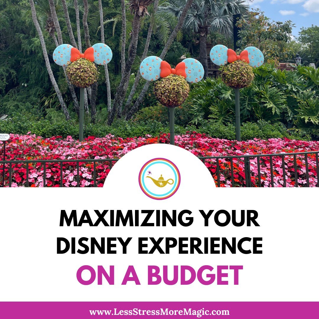 Planning a trip to Walt Disney World can seem daunting, especially when you're on a budget. Fear not! 

With some smart vacation planning Disney-style, you can make the most of your experience without breaking the bank. 🏦

Read our latest blog for t