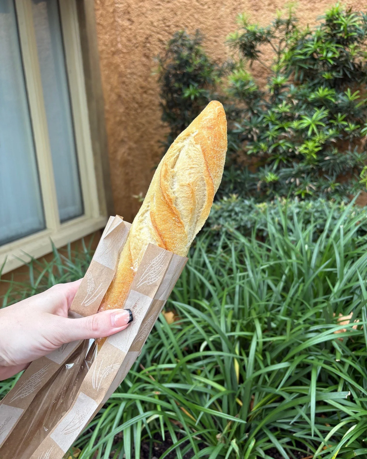 Epcot&rsquo;s Best and Cheapest Treat! 🥖

Looking for a delicious snack that won&rsquo;t break the bank? Head to Les Halles Boulangerie-Patisserie  in the France Pavilion!

Half Baguette: $2.95 (perfect to share!)
Full Baguette: $4.95 (for the serio