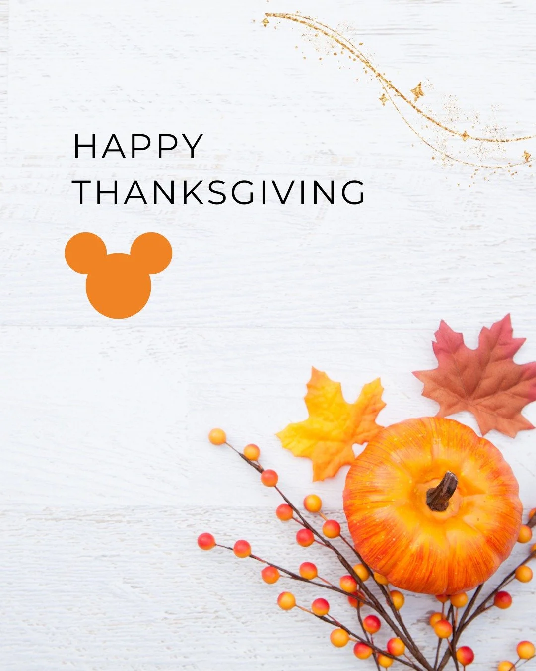 🍂 Happy Thanksgiving! 🍂

This year, I&rsquo;m feeling extra grateful for so many things &mdash; but especially for finally being a Florida local and getting to visit the Disney parks weekly. There&rsquo;s something truly magical about being able to