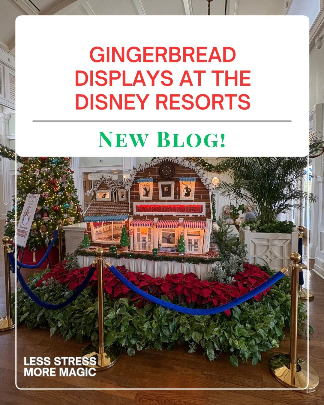 🎄✨ Gingerbread magic is back at Disney resorts! ✨🎄

From a 7-foot giraffe at Animal Kingdom Lodge 🦒, to the 25th-anniversary carousel at Beach Club, to hidden Mickeys and a five-legged goat at Contemporary, this year&rsquo;s displays are not to be