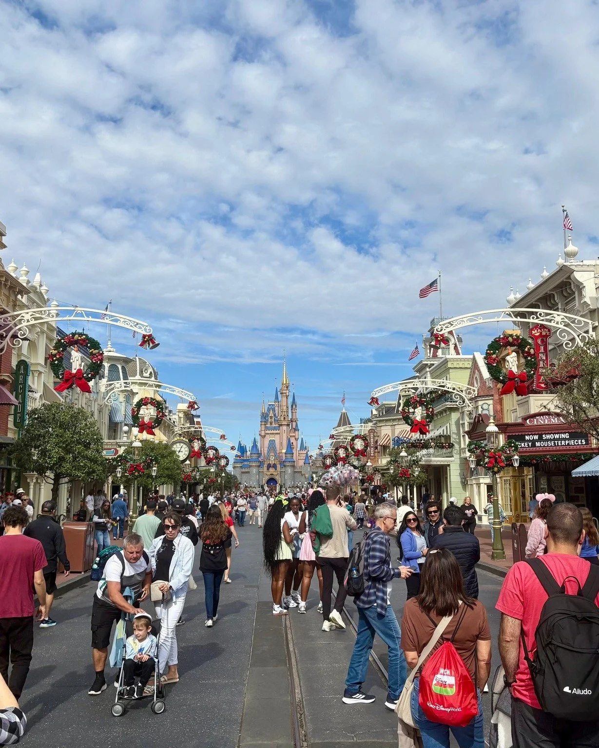 🎄 Disney World During Christmas? You&rsquo;ve Got This! 🎄

Visiting during the busiest week of the year doesn&rsquo;t have to be stressful. Here are my top tips:

1️⃣ Arrive early &ndash; early entry and rope drop are your best friends
.
2️⃣ Use Li