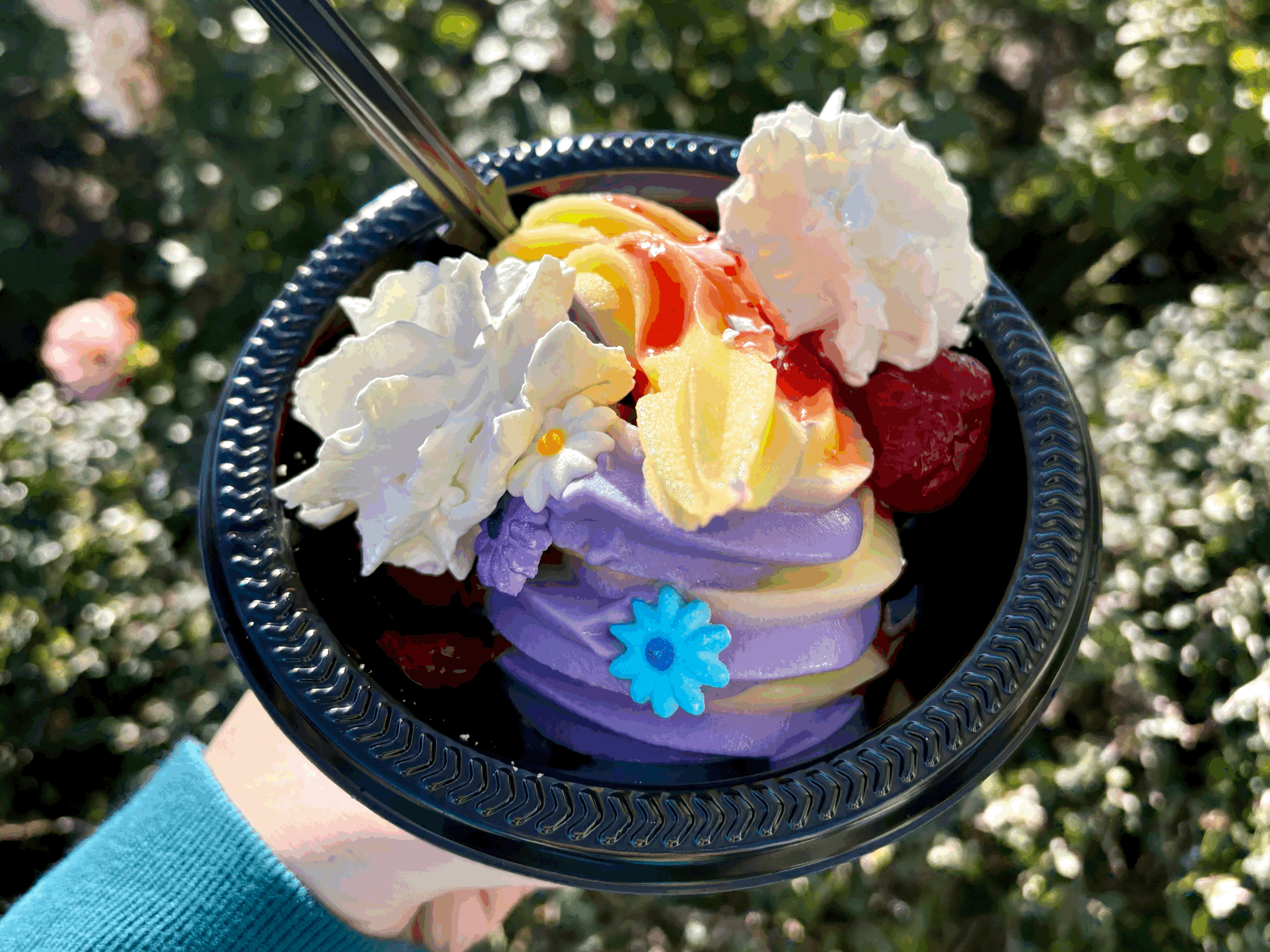 Disney World Dining for First-Timers: What to Plan and What to Skip