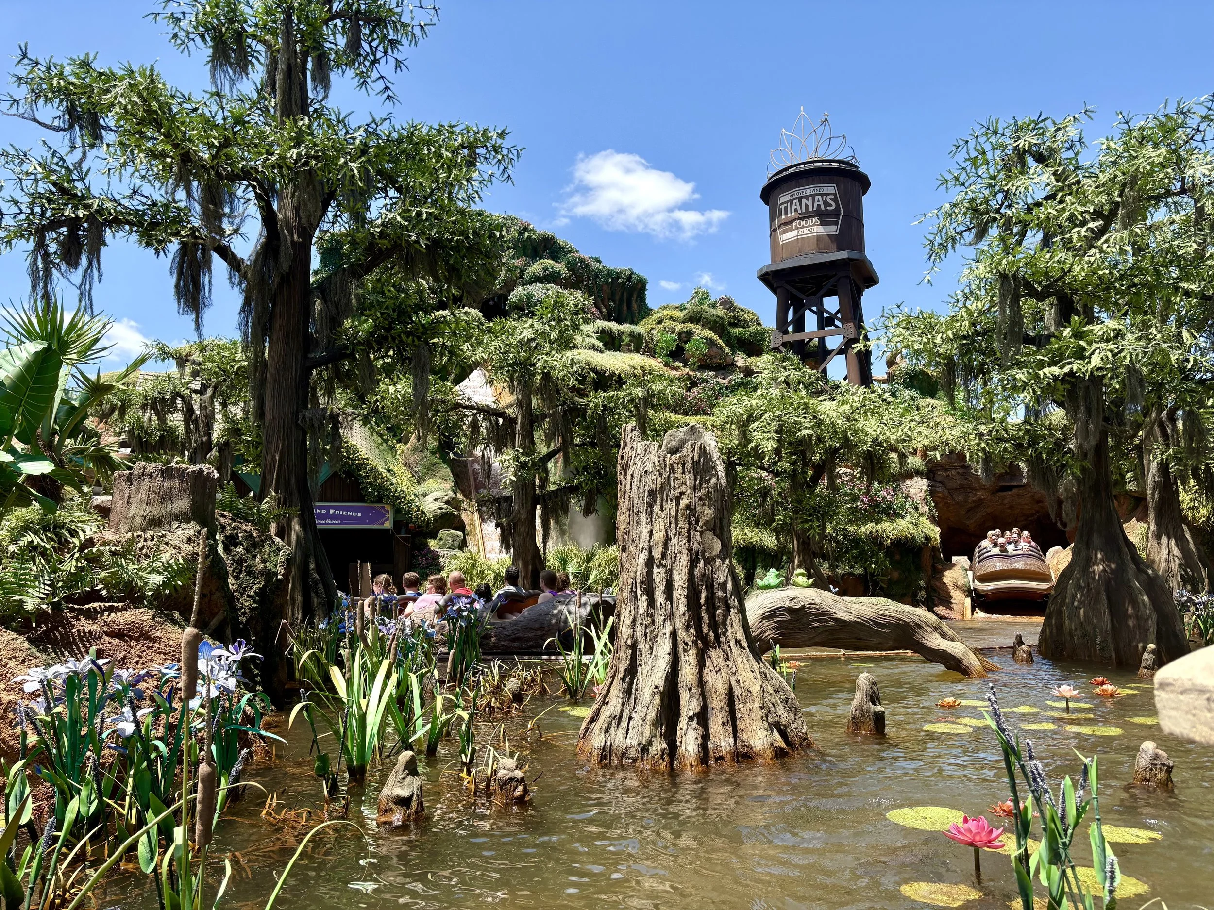 First Time Disney World