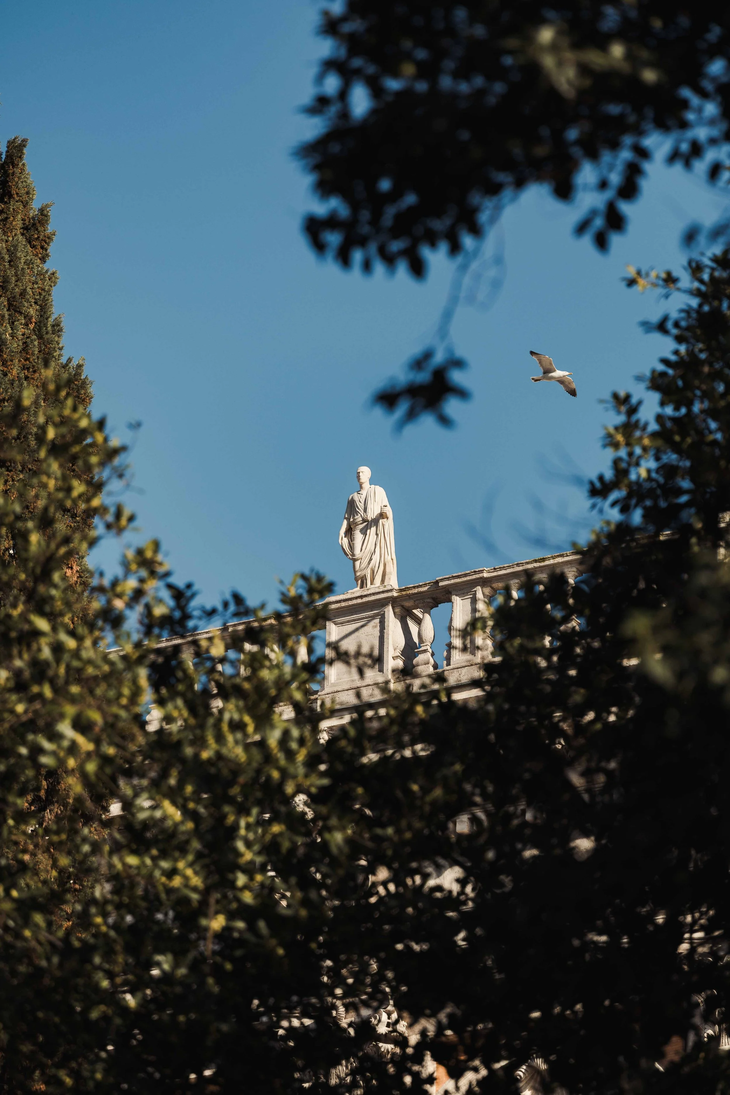 Rome (11).jpg
