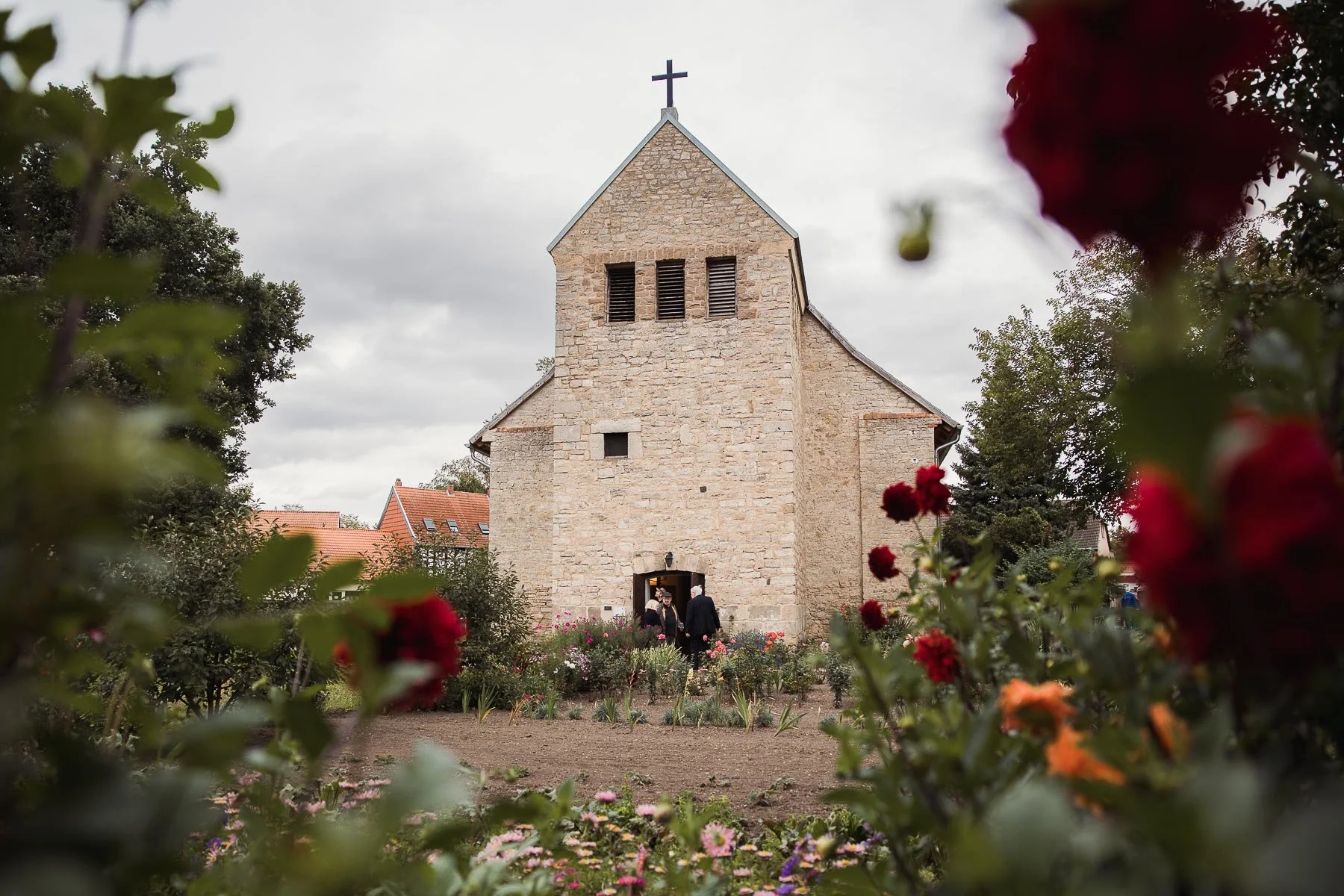 Kirche St. Trinitatis in Hedersleben, fotografiert durch blühende Rosen