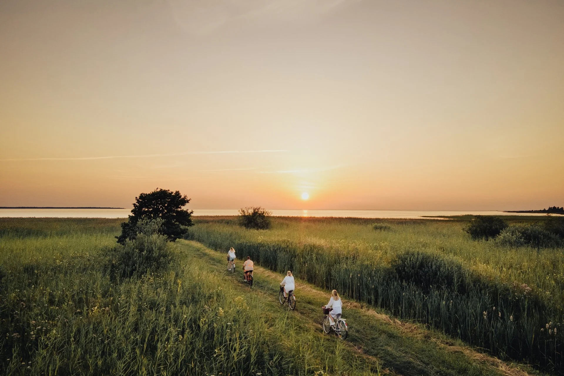 Visit Muhu — Discover Timeless Charm on Muhu Island A Baltic Gem