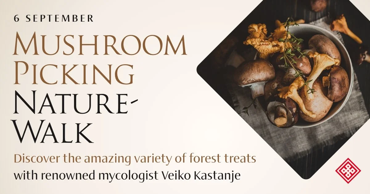 Mushroom Picking with Veiko Kastanje