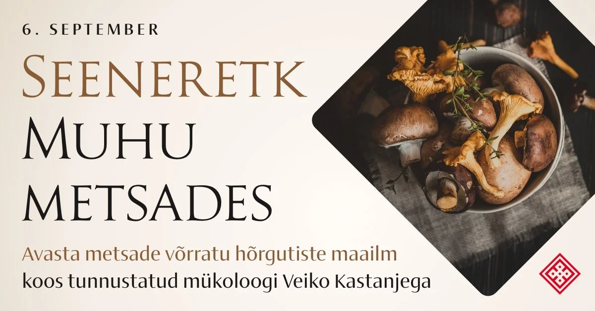 Seeneretk Veiko Kastanjega Muhu metsades
