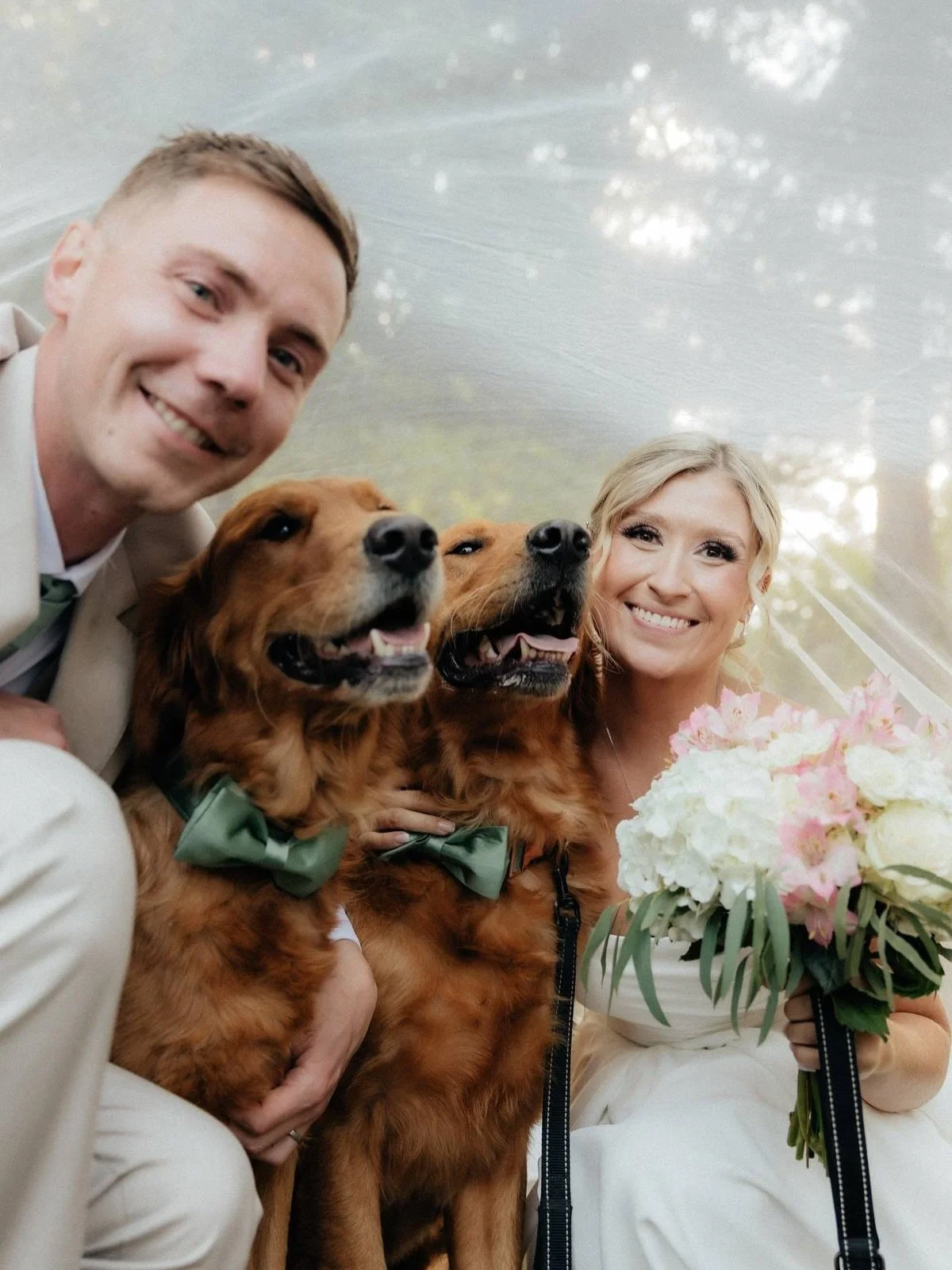 When your bestfriends are invited to the wedding 🥹🐾

Our venue is always dog friendly 🖤 we are firm believers in the more the merrier. 🐕

📸: @sydneystengerphotography 

#redcedarfarmweddings #waweddingvendor #kitsapwedding #dogwedding #dogsofins
